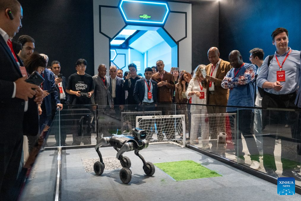 China Focus: Diplomatic envoys explore high tech vitality in central ...