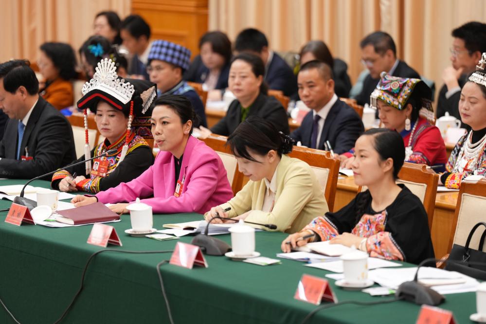 两会丨贵州代表团举行开放团组会议